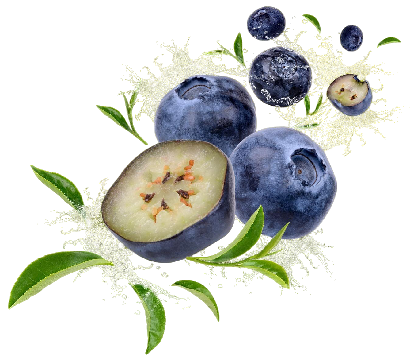 Fresh blueberries with leaves and juice splash