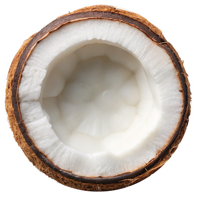 Coconut Extract