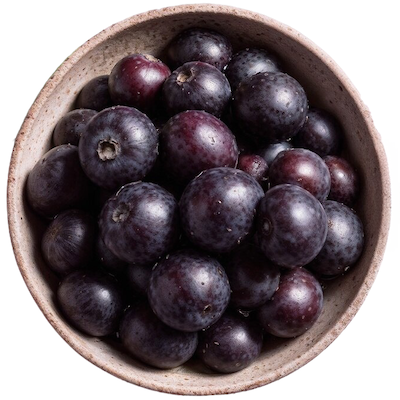 Kakadu Plum